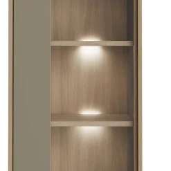 Vitrine in Eukalyptus und Eiche Optik - Promo