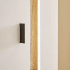 Vitrine mit LED Licht und Metallgriff - Racelyn