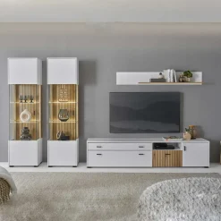 Wohnzimmervitrinen & TV Board & Regal Set - Nenaloro (vierteilig)
