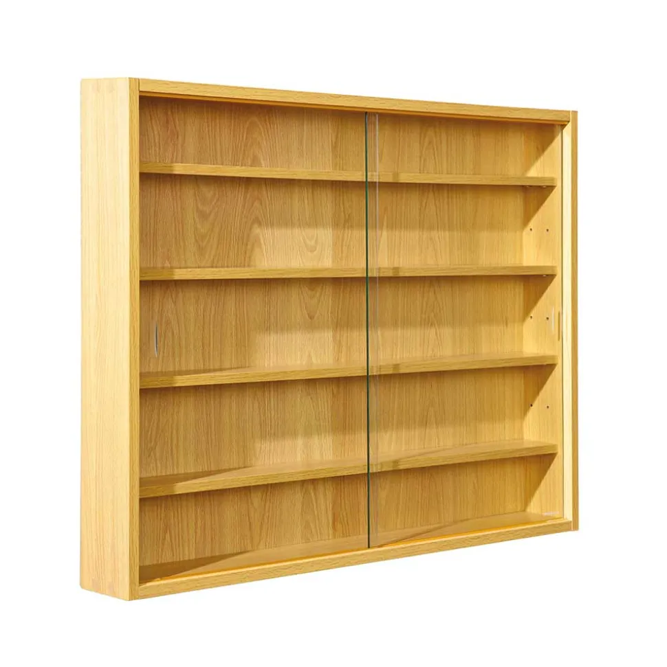 80x60x10 cm Hängevitrine Sammelvitrine 2-türig - Grands
