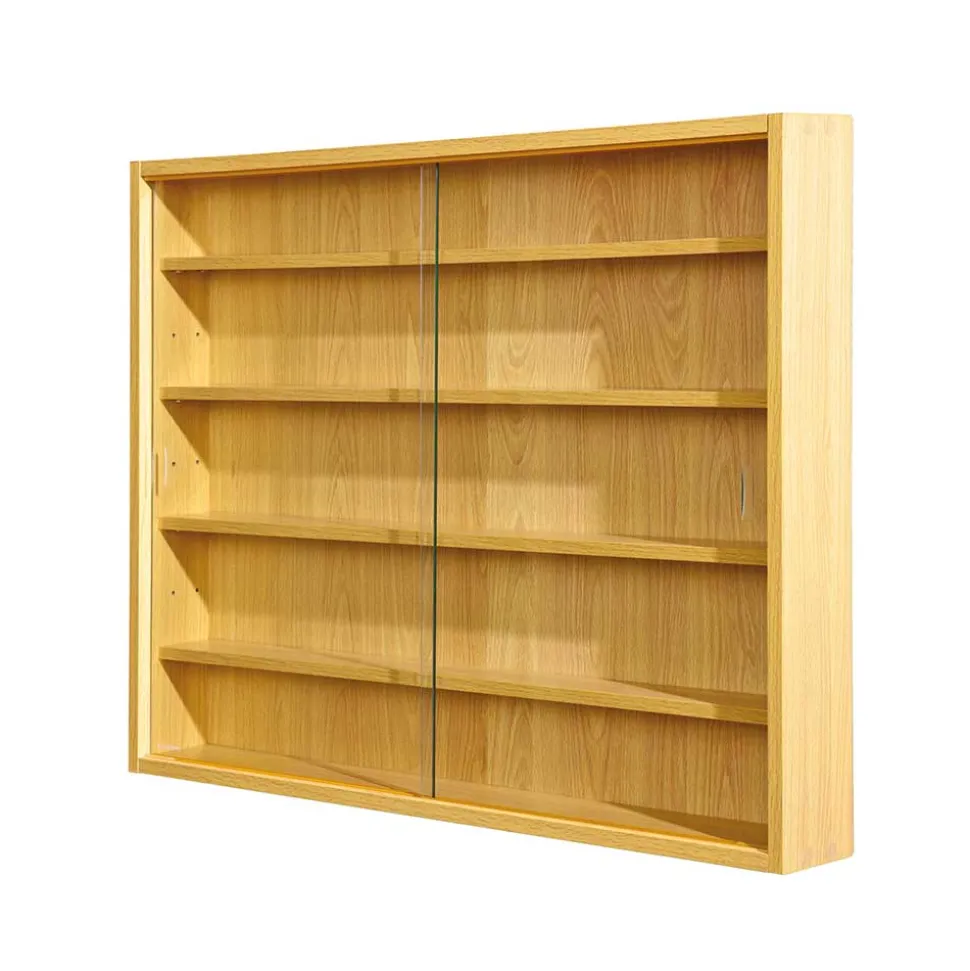 80x60x10 cm Hängevitrine Sammelvitrine 2-türig - Grands