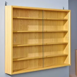 80x60x10 cm Hängevitrine Sammelvitrine 2-türig - Grands