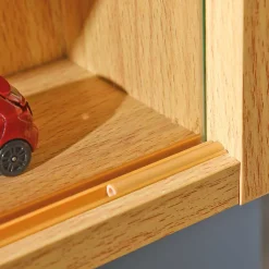 80x60x10 cm Hängevitrine Sammelvitrine 2-türig - Grands