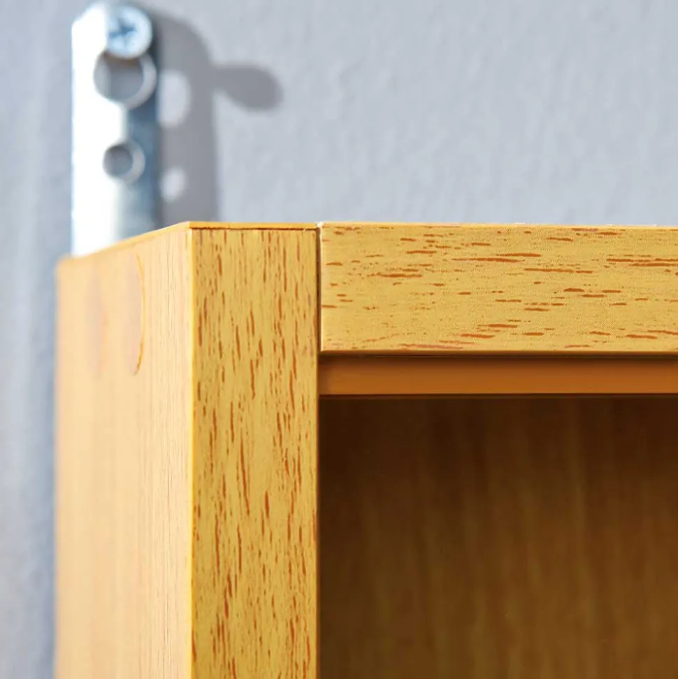 80x60x10 cm Hängevitrine Sammelvitrine 2-türig - Grands