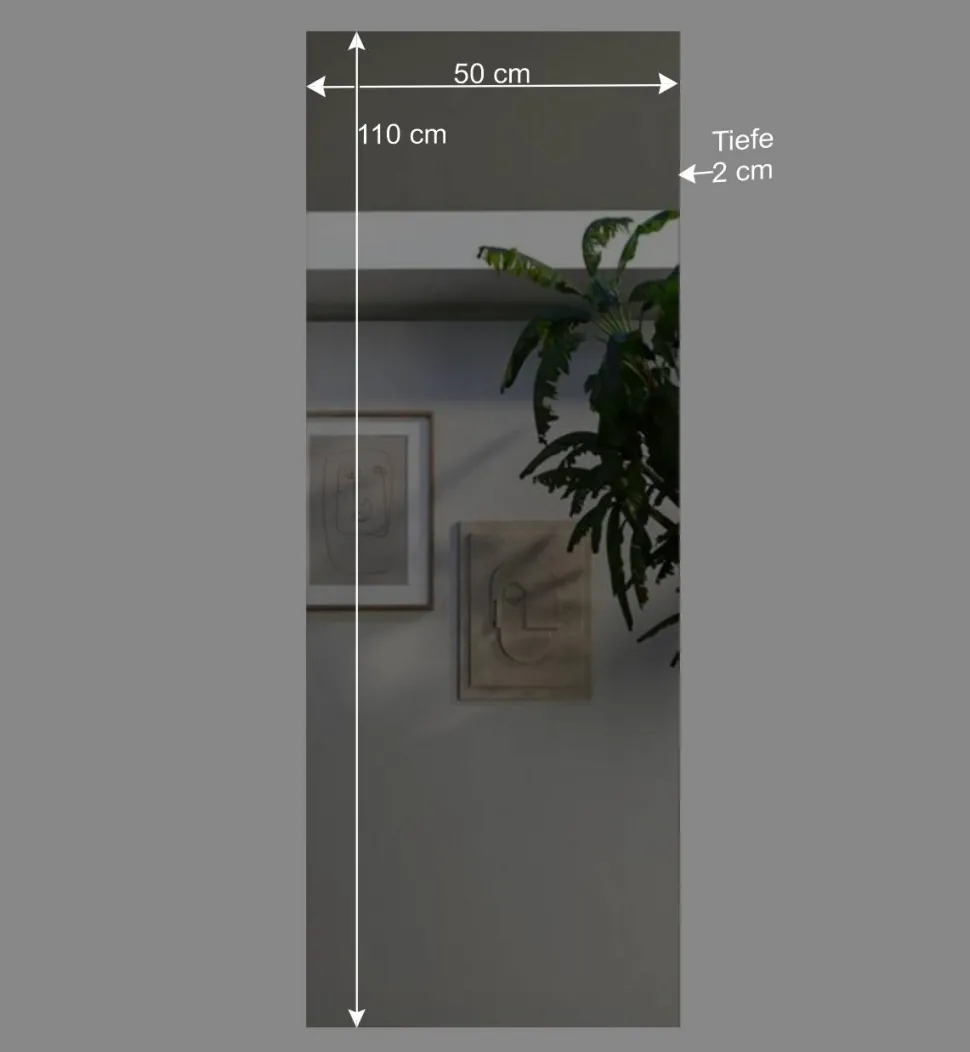 50x110x2 Moderner Spiegel rahmenlos - Castalla