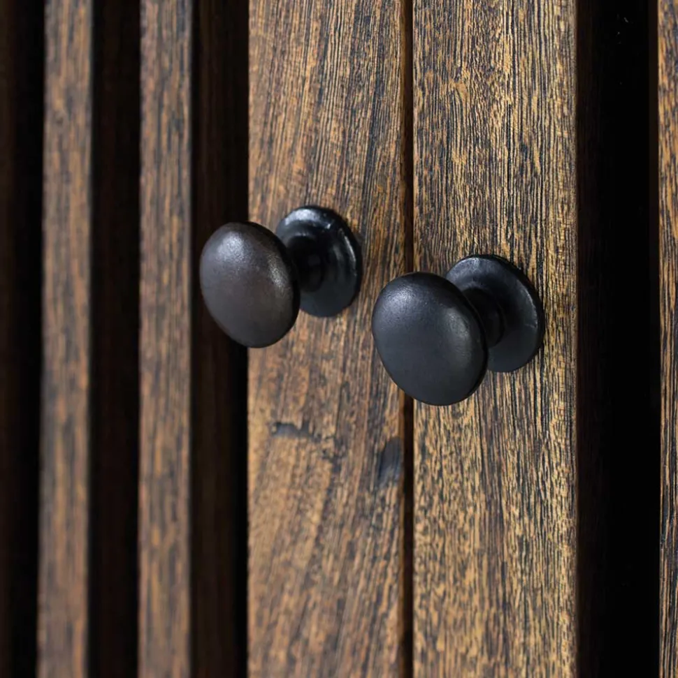 100x160x45 Wohnzimmerschrank mit zwei Türen - Charin